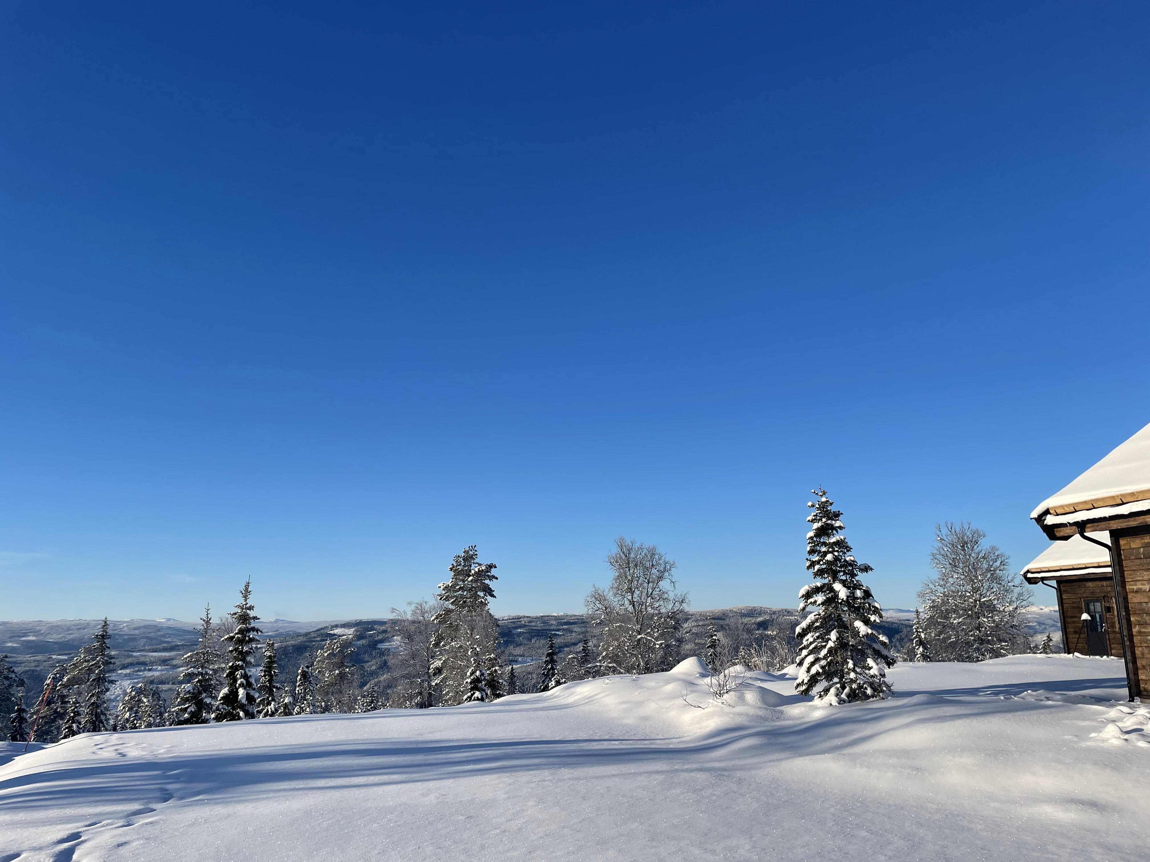 Utsikt mot dalen fra Høghaugen Øvre med hyttehjørne