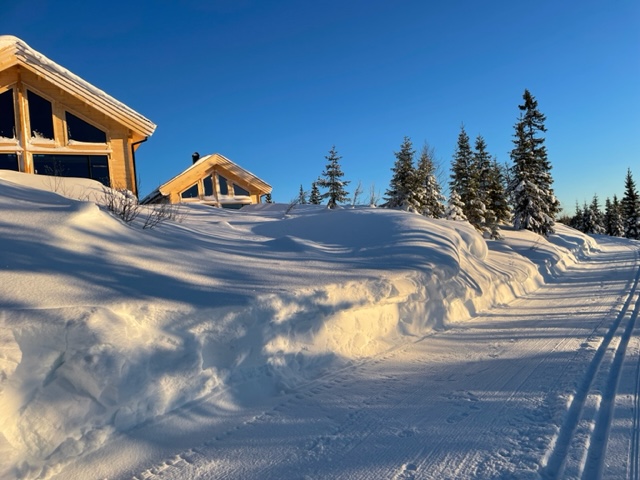 Tømmerhytte med skiløype rett utenfor — ski in/out